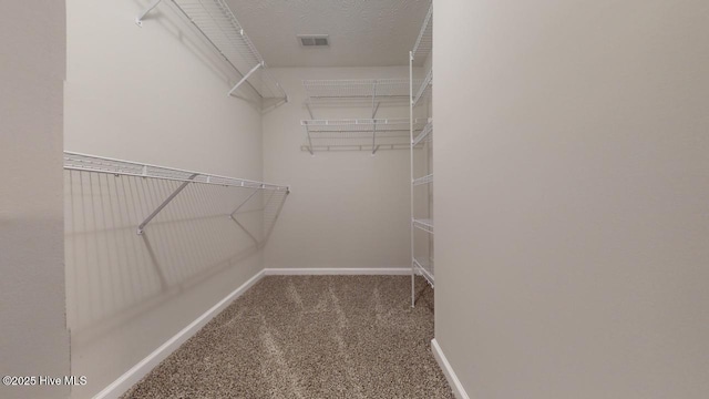 walk in closet with carpet