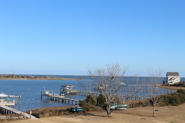 exterior space with a dock