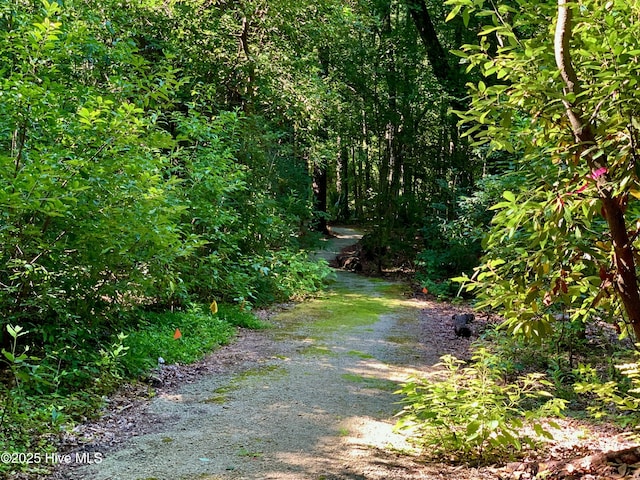 view of street with a forest view