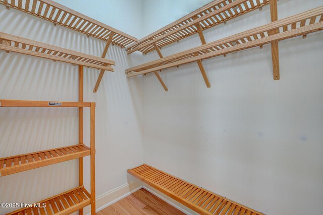 unfurnished bedroom featuring crown molding, ceiling fan, and light wood-type flooring