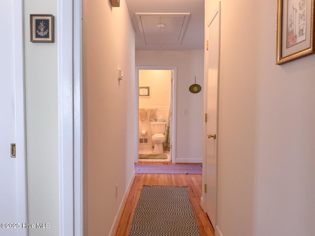 corridor with light hardwood / wood-style flooring