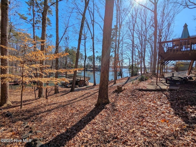 view of yard featuring a water view