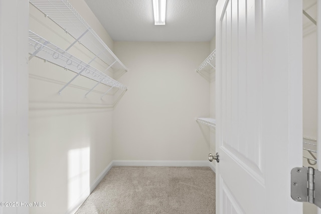 spacious closet with light carpet