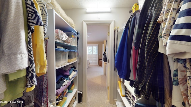 spacious closet featuring carpet flooring