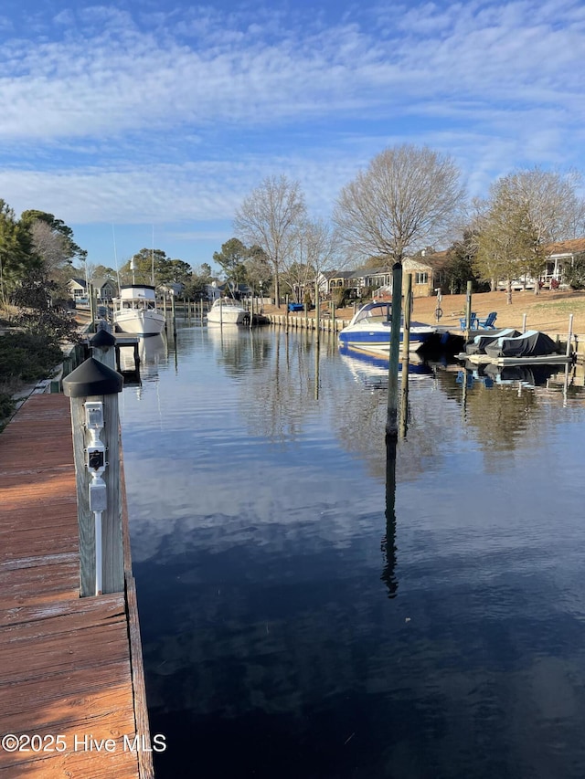 dock area with a water view