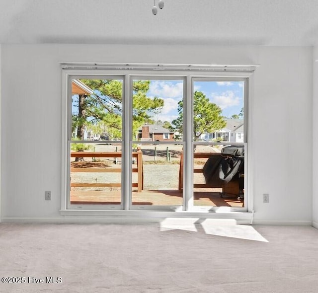 doorway featuring light carpet