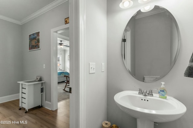 bathroom featuring sink, crown molding, and hardwood / wood-style flooring