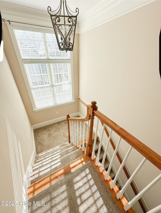 staircase featuring ornamental molding, carpet, and a chandelier