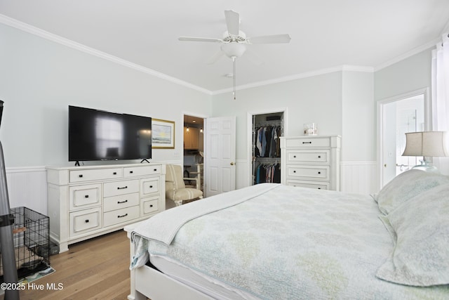 bedroom with crown molding, a walk in closet, ceiling fan, and light hardwood / wood-style flooring