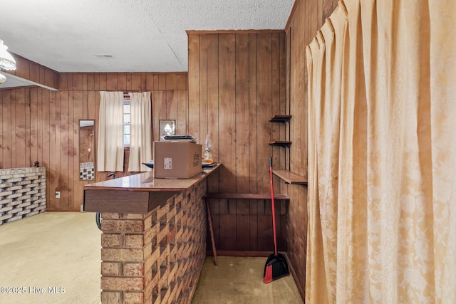 bar featuring light colored carpet, wooden walls, and a textured ceiling