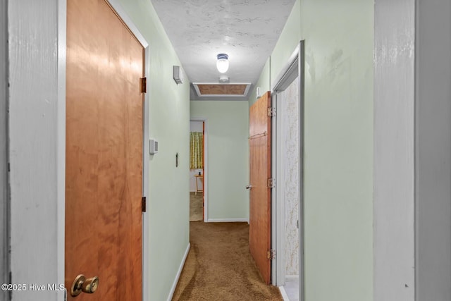 hall featuring carpet flooring and a textured ceiling