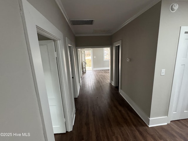 hallway with crown molding and dark hardwood / wood-style flooring