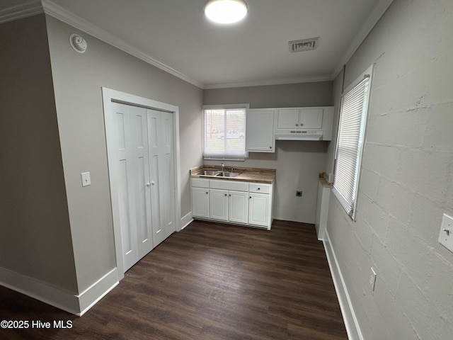 kitchen featuring wood counters, sink, white cabinetry, ornamental molding, and dark hardwood / wood-style floors