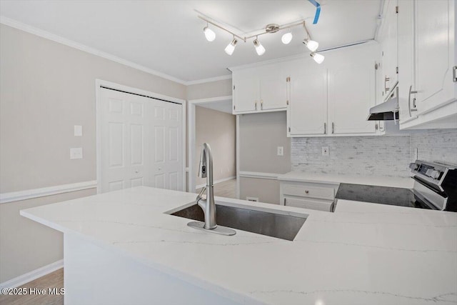 kitchen featuring sink, stainless steel range with electric cooktop, ornamental molding, decorative backsplash, and white cabinets