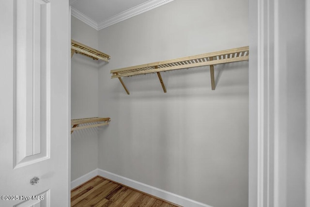 walk in closet with wood finished floors