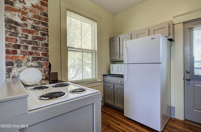 kitchen with gray cabinetry, white appliances, and dark wood-type flooring