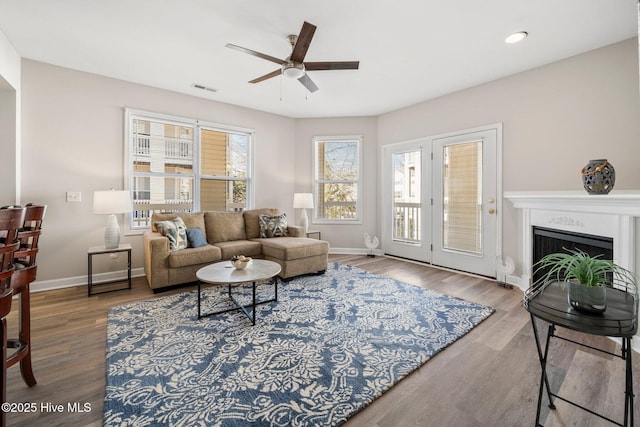 living room with hardwood / wood-style flooring and ceiling fan