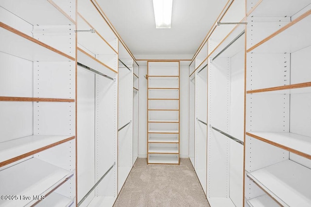 spacious closet featuring light colored carpet