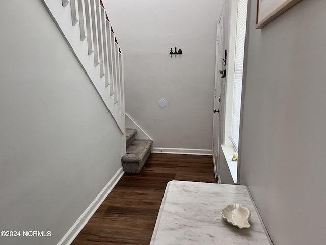 stairs with hardwood / wood-style floors