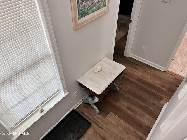 interior space with dark wood-type flooring