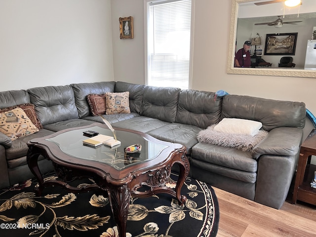 living room with hardwood / wood-style floors and ceiling fan