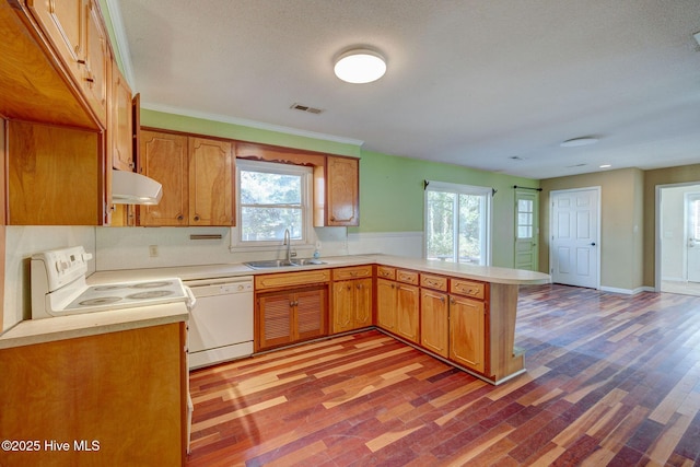 kitchen featuring white appliances, plenty of natural light, kitchen peninsula, and sink