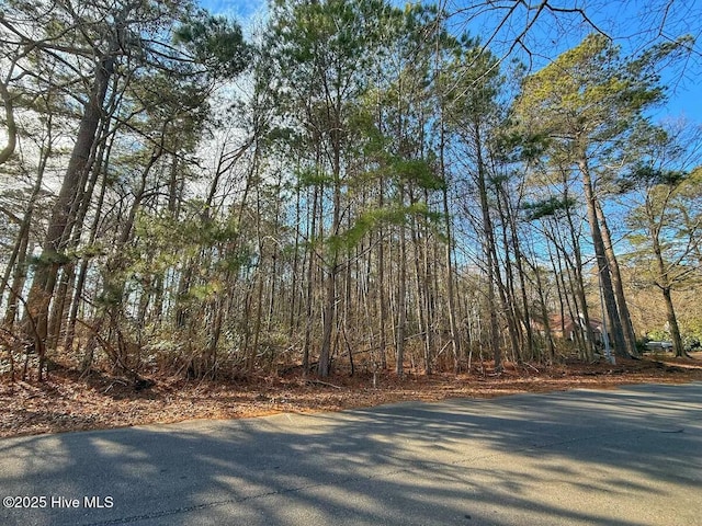 213 Saddlewood Dr Unit 20, Goldsboro NC, 27354 land for sale