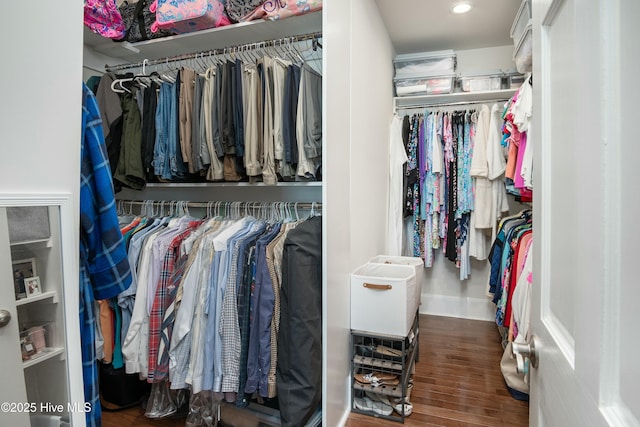 spacious closet featuring dark wood-type flooring