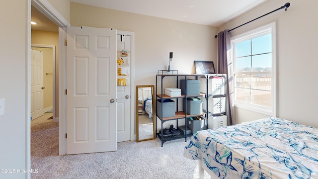 bedroom with carpet floors