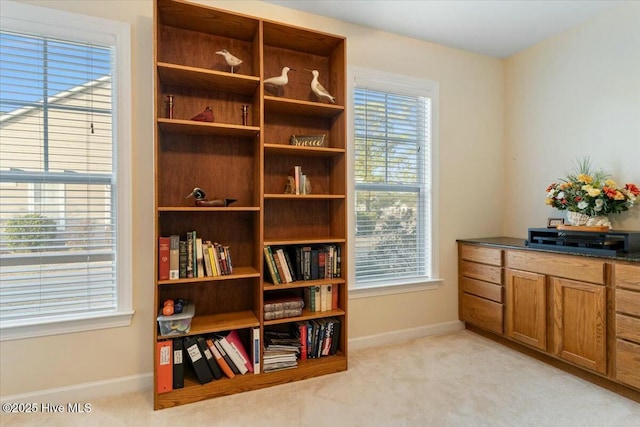 living area with light colored carpet