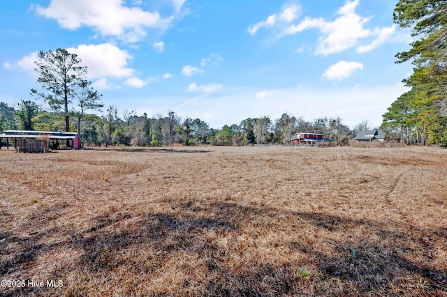 view of yard featuring a rural view