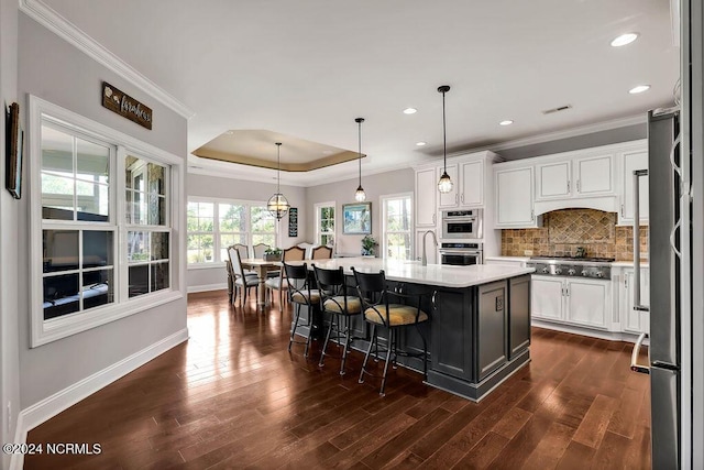 kitchen featuring white cabinetry, a kitchen island with sink, pendant lighting, and a tray ceiling