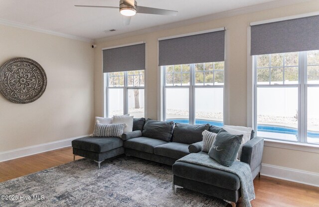 entryway with crown molding, a wealth of natural light, and hardwood / wood-style flooring