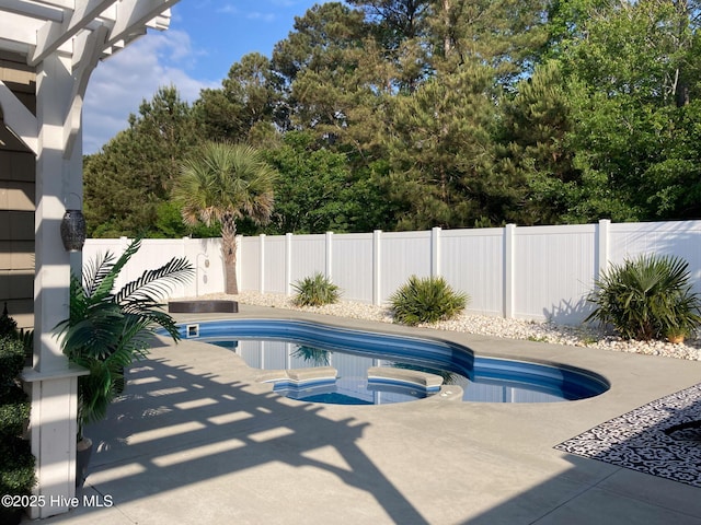 view of pool featuring a patio area