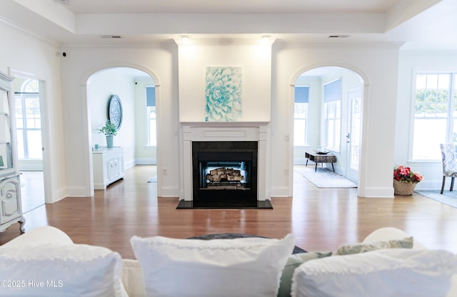 living room with wood-type flooring, ornamental molding, and a tray ceiling