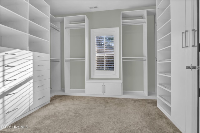 spacious closet with light carpet