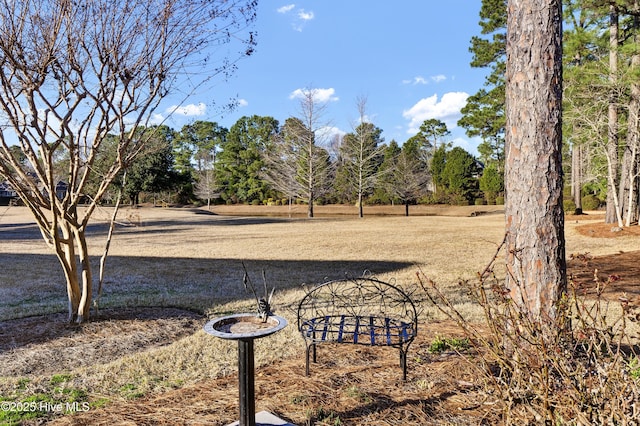 view of surrounding community