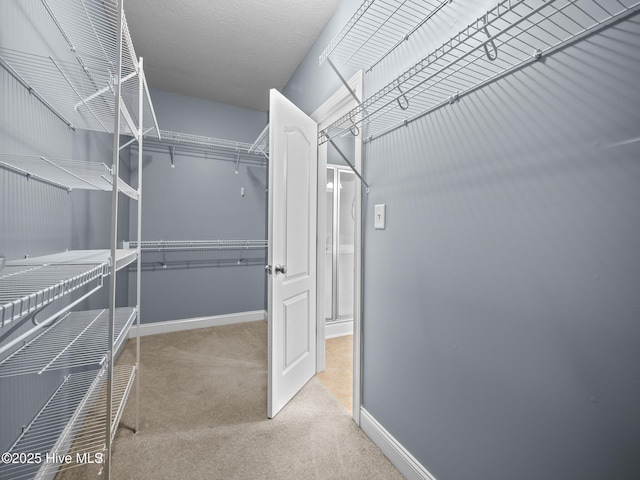 walk in closet featuring light carpet