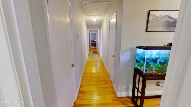 hall with light hardwood / wood-style floors