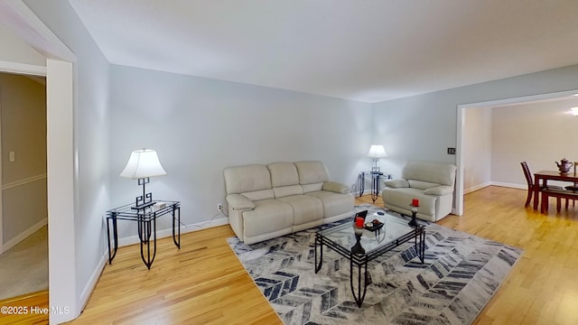 living room featuring wood-type flooring