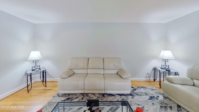 living room with wood-type flooring