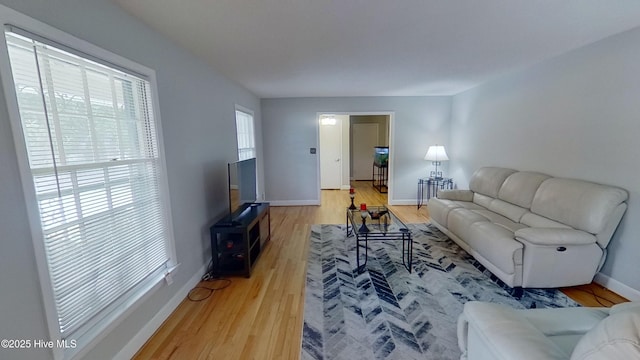 living room with hardwood / wood-style floors