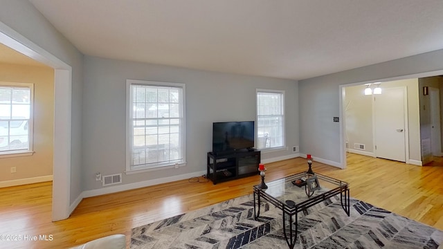 living room featuring hardwood / wood-style flooring and a wealth of natural light