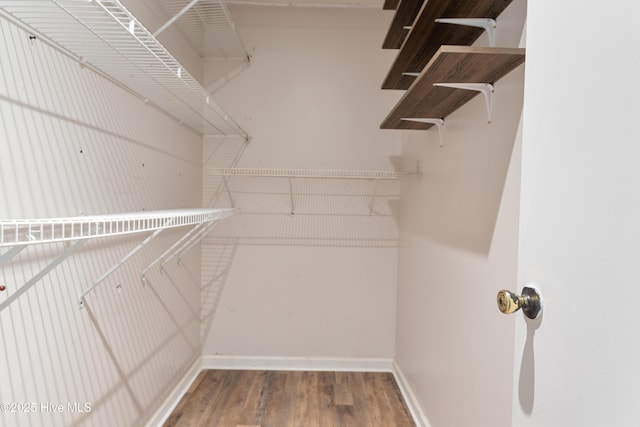 walk in closet featuring wood finished floors