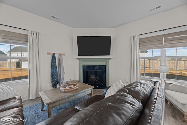 living room featuring a fireplace and wood-type flooring