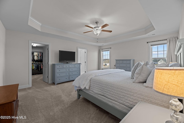 carpeted bedroom with crown molding, ceiling fan, a tray ceiling, a walk in closet, and a closet