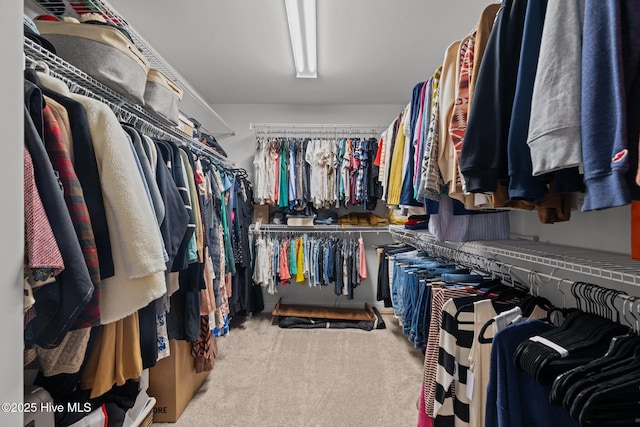 spacious closet featuring carpet floors