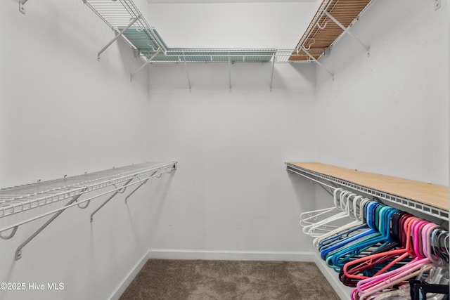 spacious closet with carpet flooring