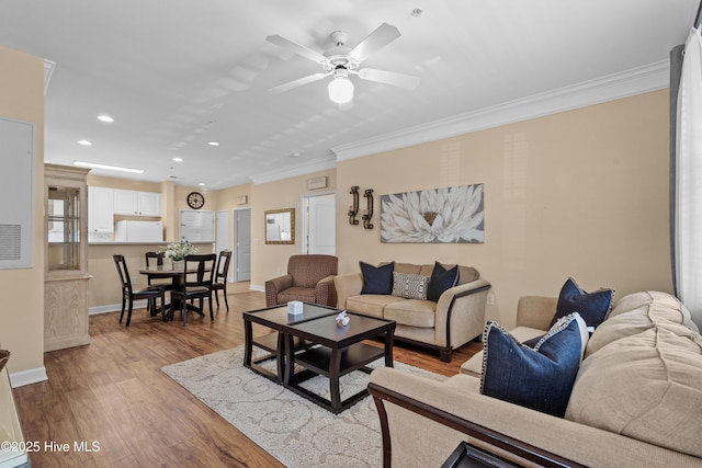 living room with crown molding, ceiling fan, and light wood-type flooring