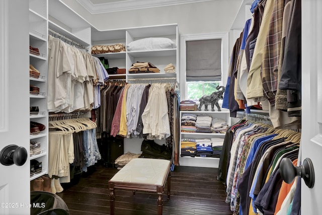 spacious closet with hardwood / wood-style floors